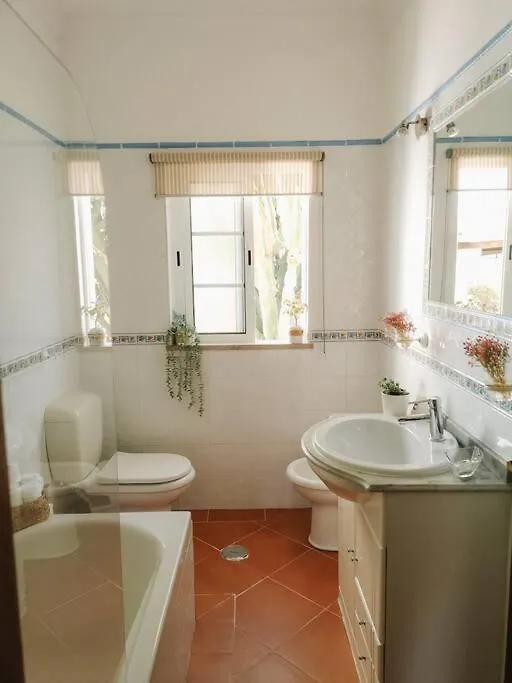 Villa Green Ville Faro